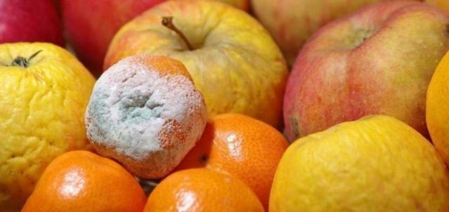 ˮ���l(f��)ù��ԭ�� �����ϵ�ù����ʲô��