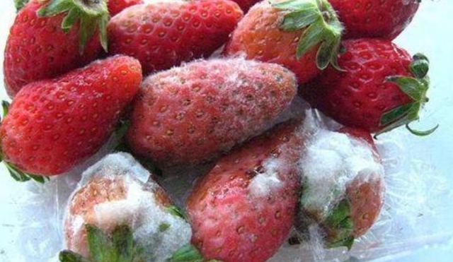 ˮ����ʲô���lù��ˮ���lù���г����Ƿ��ܳ�