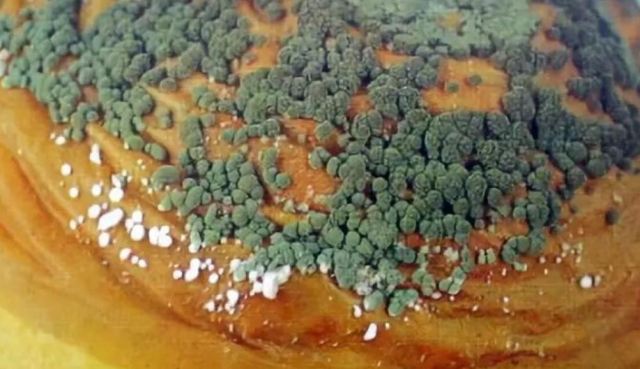 �O���lù���S��ù�؆���ʹ�O���lù����ʲô���N