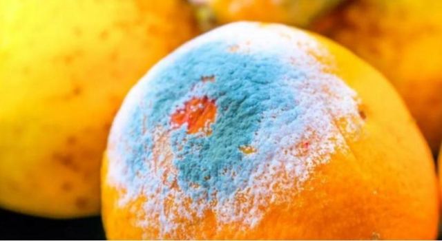 ���l(f��)ù�����Ӻ���ϴ�����᣿���Ӱl(f��)ù׃�G�ķ���������