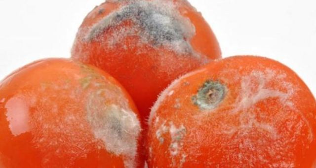 ��һ�Ή�ˮ����(hu��)�°��᣿��ô�ܷ�ֹˮ���l(f��)ù��ô��