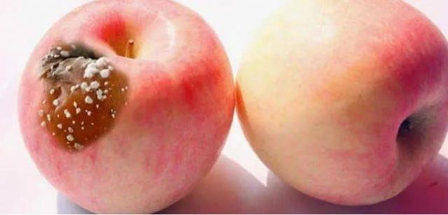 ��һ�Ή�ˮ����(hu��)�°��᣿��ô�ܷ�ֹˮ���l(f��)ù��ô��