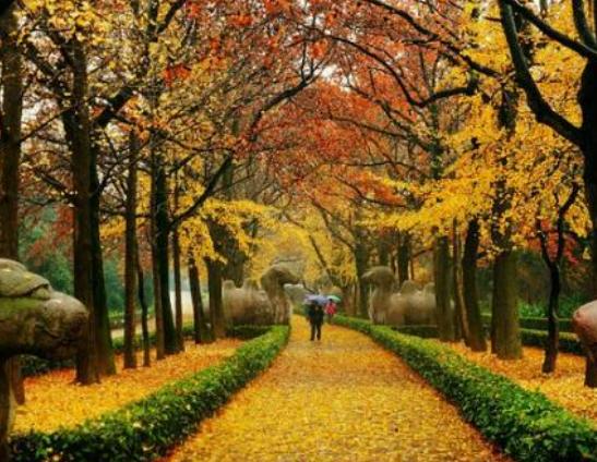 Ͼȥʮvʷc(din)ɽ@ݰТ꽨ˇ߳