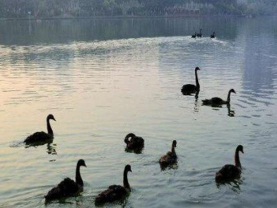 BTmHĵط޹@F·Ļ@\