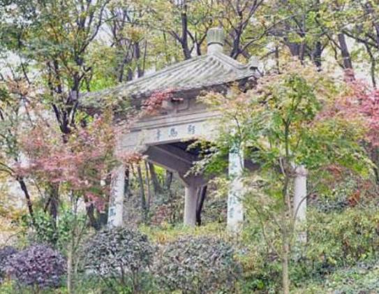 ϾMֺľcɽˮӏRĻՇ