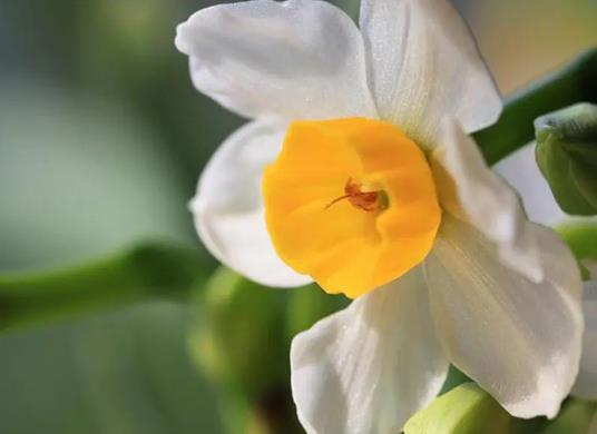 2023��7���з������Ն᣿2023��7����������Ć�