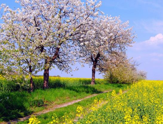 2023��7���з������Ն���2023��7����������Ć�