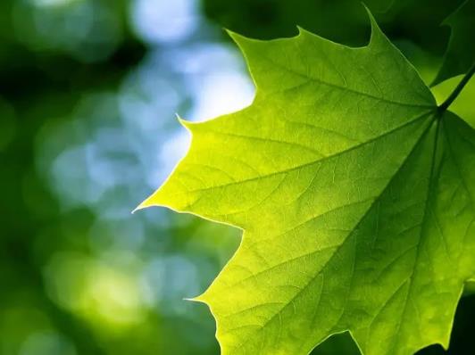 2023��7�¶���ʲô���գ�2023��7����ʲô�o����