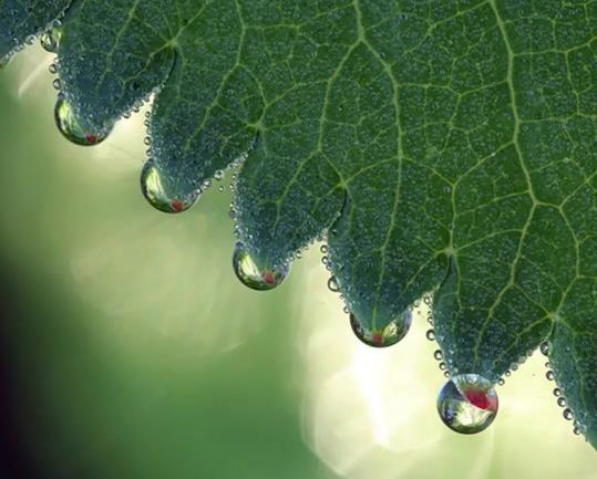 2023��7�¶���ʲô���գ�2023��7����ʲô�o����