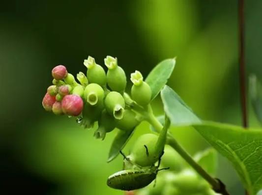 2023��8�·ݸߜ�����ж����죿2023��8�·ݚ�ؕ��½���