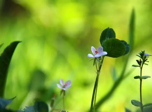 8�·ݸߜ������ô������8��ȫ�����������