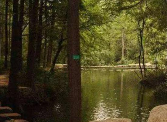 (yng)ĵطuɽL(fng)^(q)ֲS(yng)`ɽ?k)oȻ