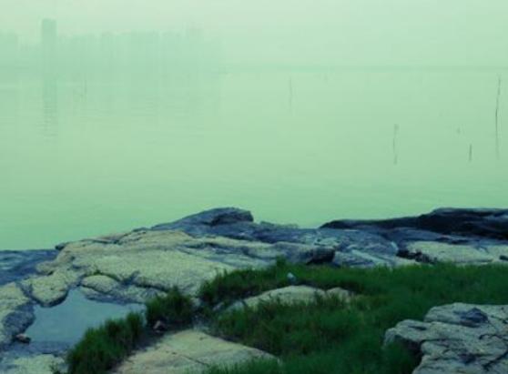 廈門集美旅游必去十大景點,集美學村推動了旅游經濟的發展 廈門集美旅游必去十大景點,集美學村推動了旅游經濟的發展