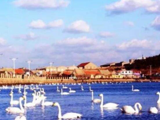 威海好玩的地方排行榜,劉公島國防地位重要、威海公園雕塑造型多樣 威海好玩的地方排行榜,劉公島國防地位重要、威海公園雕塑造型多樣