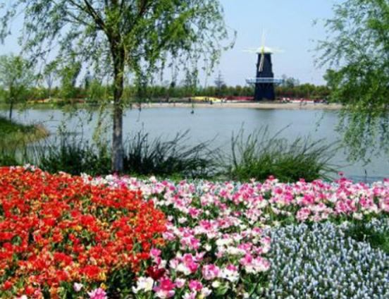 上海值得去的冷門(mén)景點(diǎn),辰山國(guó)家植物園、長(zhǎng)風(fēng)海洋世界頗有樂(lè)趣 上海值得去的冷門(mén)景點(diǎn),辰山國(guó)家植物園、長(zhǎng)風(fēng)海洋世界頗有樂(lè)趣