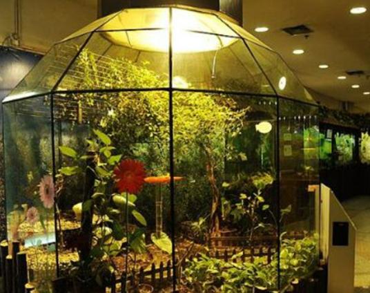 上海值得去的冷門(mén)景點(diǎn),辰山國(guó)家植物園、長(zhǎng)風(fēng)海洋世界頗有樂(lè)趣 上海值得去的冷門(mén)景點(diǎn),辰山國(guó)家植物園、長(zhǎng)風(fēng)海洋世界頗有樂(lè)趣