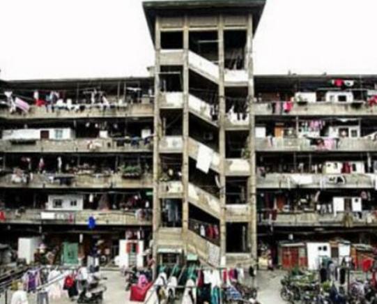 上海值得去的冷門(mén)景點(diǎn),辰山國(guó)家植物園、長(zhǎng)風(fēng)海洋世界頗有樂(lè)趣 上海值得去的冷門(mén)景點(diǎn),辰山國(guó)家植物園、長(zhǎng)風(fēng)海洋世界頗有樂(lè)趣