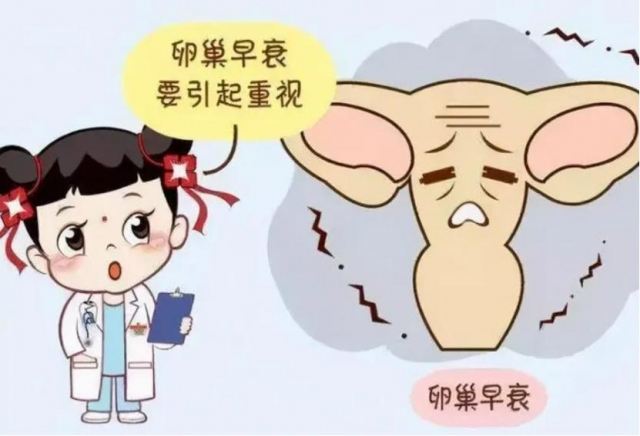 絕經后還能來月經嗎?絕經有什么治療方法嗎 絕經后還能來月經嗎?絕經有什么治療方法嗎