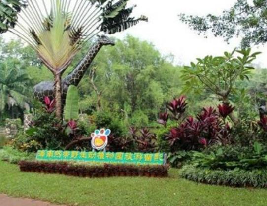 海口最好玩的地方推薦,假日海灘休閑度假必去、騎樓老街觀賞性強 海口最好玩的地方推薦,假日海灘休閑度假必去、騎樓老街觀賞性強