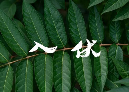 2023����������ʲô�r���_ʼ���������з���߀��ĩ����