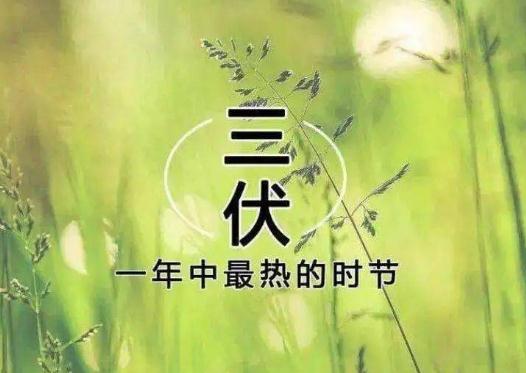 �������^(gu��)���ǲ��Ǿ͛����ˣ�2023���������2022����������