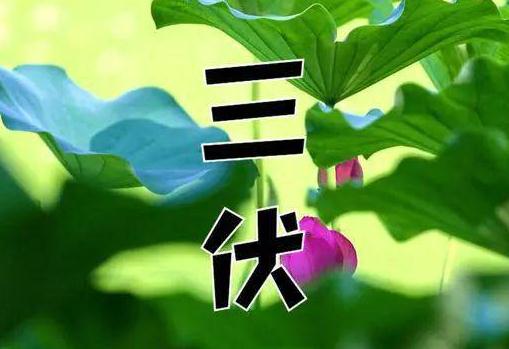 �������^(gu��)���ǲ��Ǿ͛����ˣ�2023���������2022����������