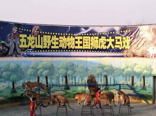 ���l(xi��ng)��Hʮ���ȥ֮������ԭ������ͨ���������o(j��)�g��(l��)�@����(zh��n)����