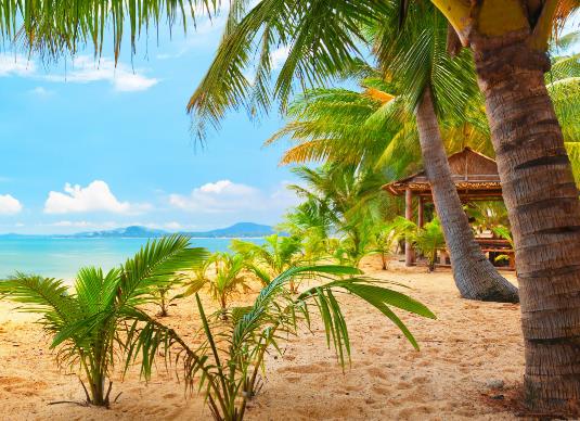 2023��ĩ�����һ������һ����2023���з���ʲô��10��