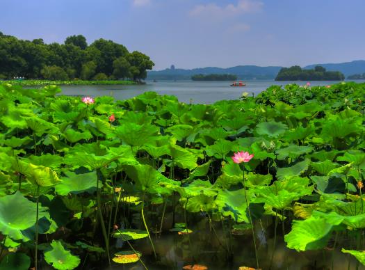 ĩ����ʲô���^�ã������з����ܟ��