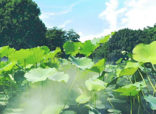 末伏吃什么比較好?今年中伏會(huì)很熱嗎 末伏吃什么比較好?今年中伏會(huì)很熱嗎