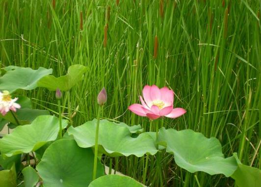 ����Ҫע��ʲô��2023��һ����������������