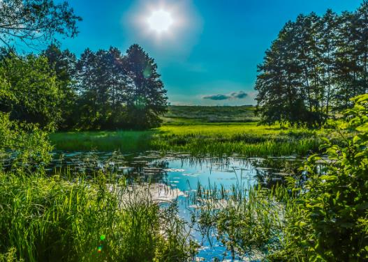 2023�����̖���c�׷������2023�����������߀������