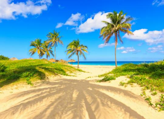 2023���з��ǎ�̖����̖��2023���з���ʮ��߀�Ƕ�ʮ��