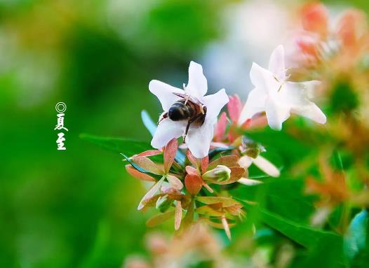 2023���������ĕr��ضȶ��٣�2023�����������ĕr����