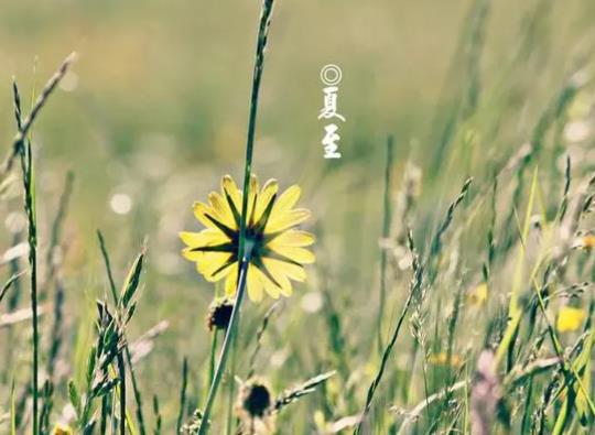 �������������ô�ӣ�������Щ��Ҫע���