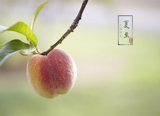 �������������ж��᣿2023�����ܲ�������