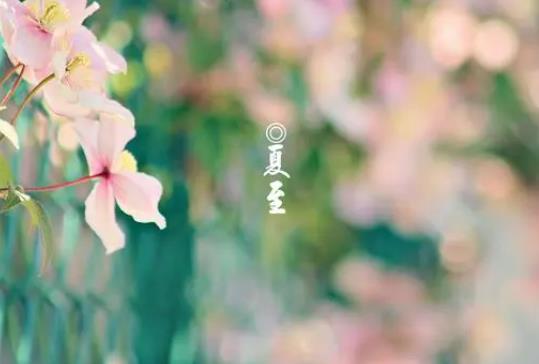 �������������ж��᣿2023�����ܲ�������