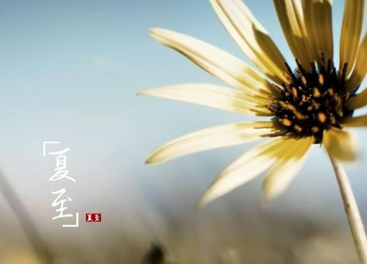 �������������ж�����2023�����ܲ�������