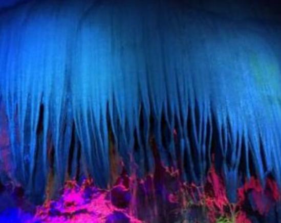 九江最好玩的地方排名,廬山風景名勝區(qū)人文底蘊濃厚、潯陽樓有趣味 九江最好玩的地方排名,廬山風景名勝區(qū)人文底蘊濃厚、潯陽樓有趣味