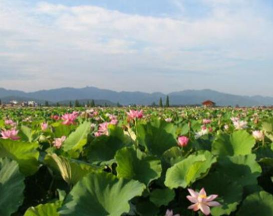 萍鄉(xiāng)最好玩的地方排名,楊岐山自然景觀好、孽龍洞景色千姿百態(tài) 萍鄉(xiāng)最好玩的地方排名,楊岐山自然景觀好、孽龍洞景色千姿百態(tài)