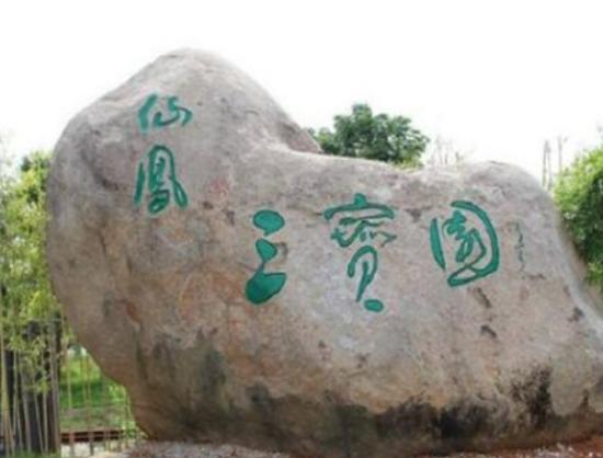 萍鄉(xiāng)最好玩的地方排名,楊岐山自然景觀好、孽龍洞景色千姿百態(tài) 萍鄉(xiāng)最好玩的地方排名,楊岐山自然景觀好、孽龍洞景色千姿百態(tài)