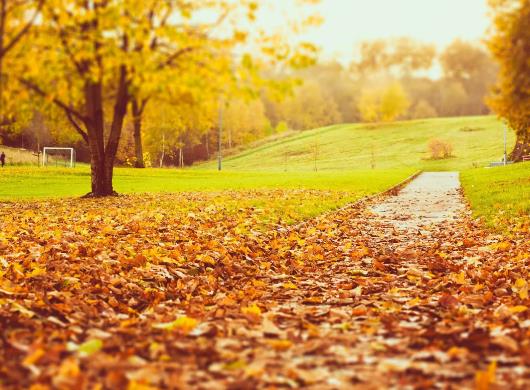 2023秋季到底有沒有低溫?2023年秋天是旱還是澇 2023秋季到底有沒有低溫?2023年秋天是旱還是澇