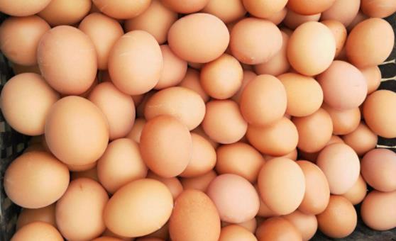 ���u�������L(zh��ng)�r(sh��)�g��������ˮ�������ʲô���u����(y��ng)ԓС�^���·�������