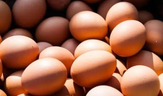 ���u�������L(zh��ng)�r(sh��)�g��������ˮ�������ʲô���u����(y��ng)ԓС�^���·����أ�