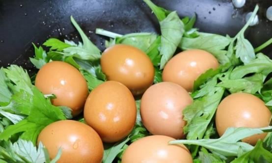 �u����ʲô��r�²��ܳԣ����u����ʲô���˙M�ű��棿