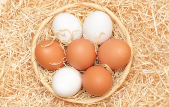 �u����ʲô��r�²��ܳԣ����u����ʲô���˙M�ű��棿