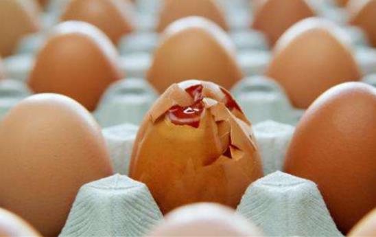 �u���ĵ��S�c���׵ĠI�B(y��ng)���^���u���c������Ҋ�����ʲô�^(q��)�e��