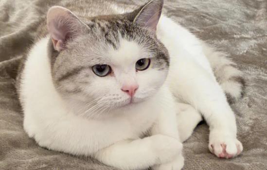 ؈���ԺȲ�᣿؈���Ժ�ţ�̆᣿