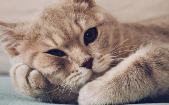 ؈���ԺȲ�᣿؈���Ժ�ţ�̆᣿