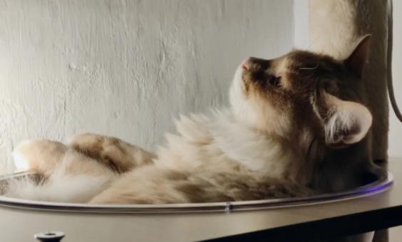 ؈�L�ڪ����ڼҕ�����᣿؈��������Щ���F��